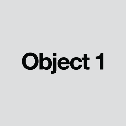 Developer 17